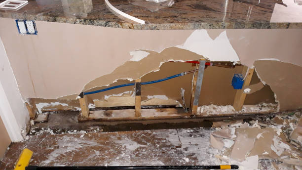 Best Mold removal after water damage  in Missouri City, TX