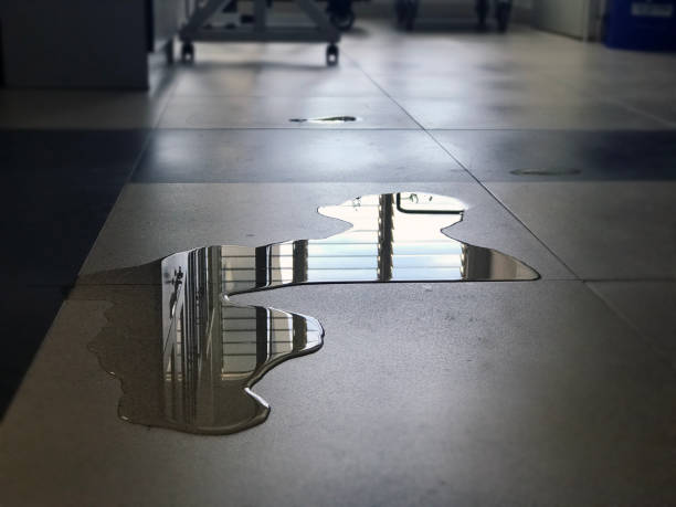 Best Commercial water damage restoration  in Missouri City, TX