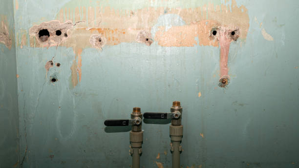  Missouri City, TX Water damage restoration Pros