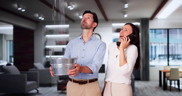 Best Water damage restoration near me  in Missouri City, TX
